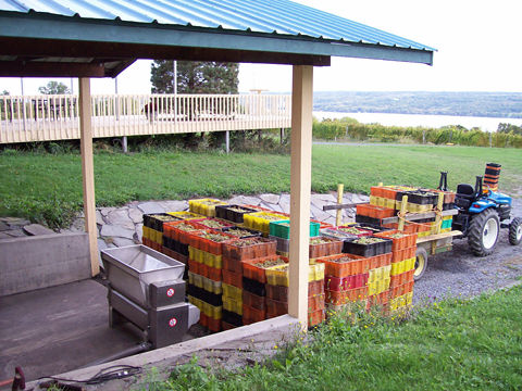 A large stack of grape-filled crates sitting in front of the grape crusher