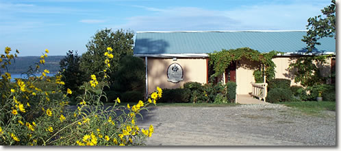 Frontenac Point Vineyard and Estate Winery building exterior with Cayuga Lake in the background